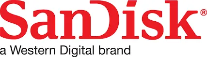 SanDisk New Year Sale
