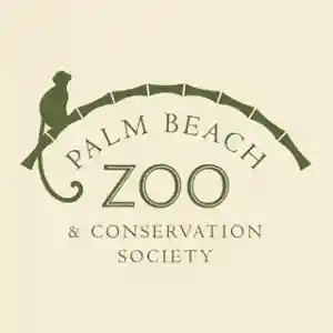 Don't Miss 5% Reduction Koala Experience